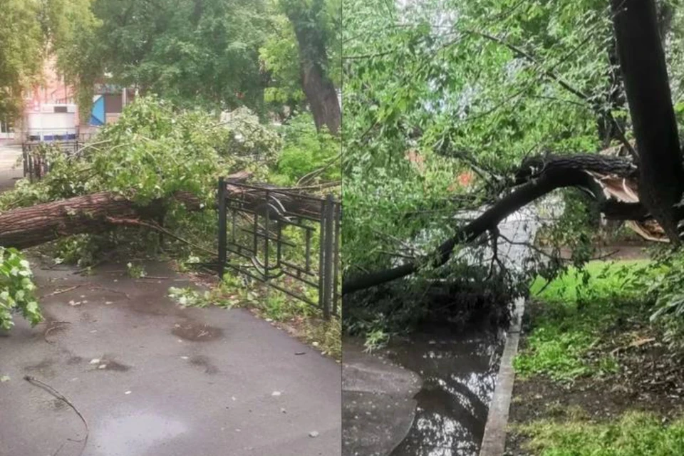 Непогода затронула сразу несколько районов. Фото: Евгения ДМИТРИЕВА.