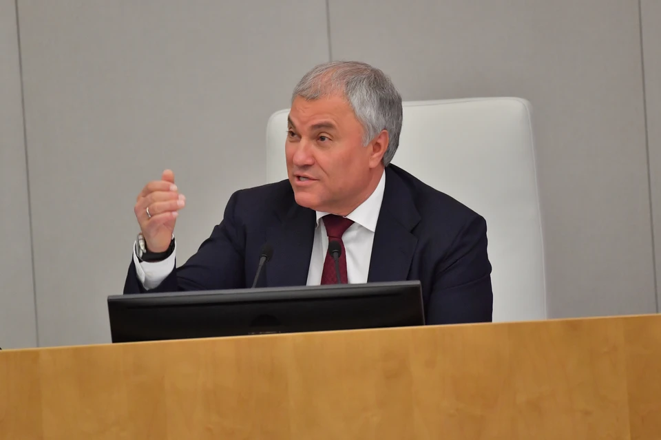 Володин отверг идею налога на бездетность: "Это не наш путь"