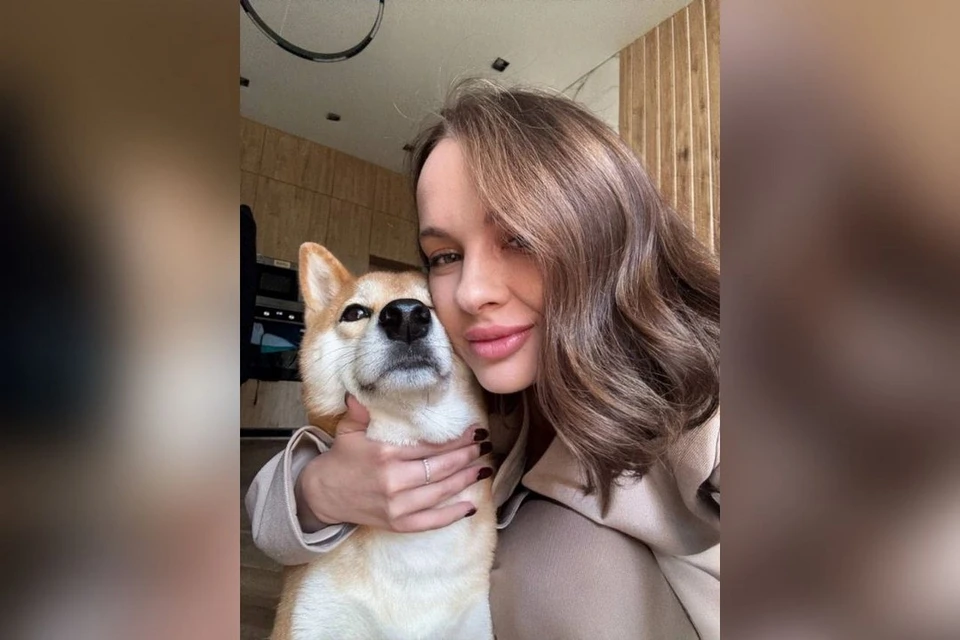 На пса Симбу новосибирского депутата напал питбуль. Фото: предоставлено Дарьей Карасевой