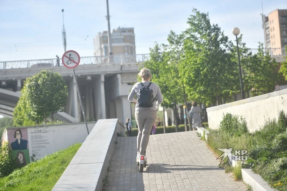 Водителей самокатов хотят обязать получать специальные карточки