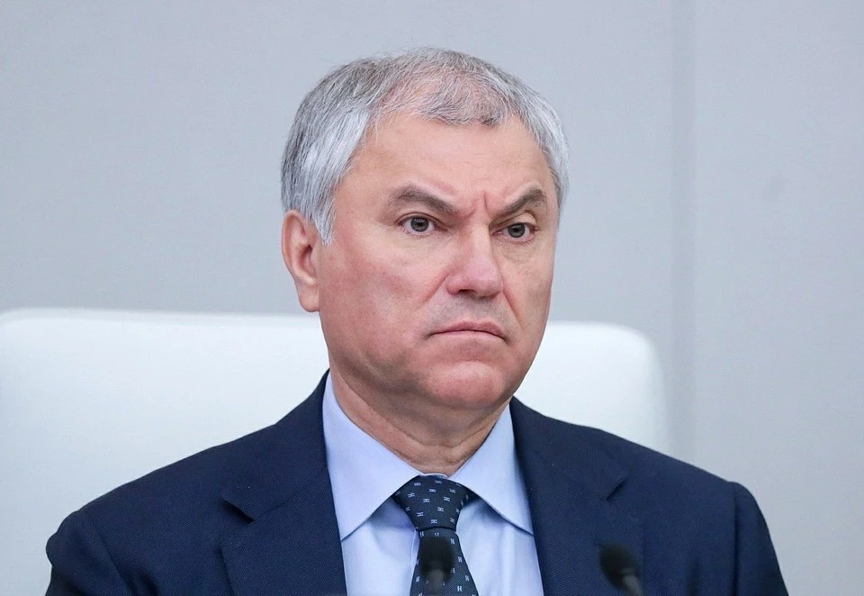 Володин призвал МВД понаблюдать за работой Минтруда