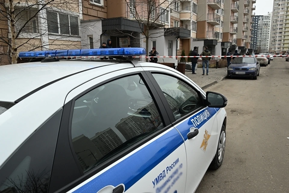 Обоих подозреваемых задержали.
