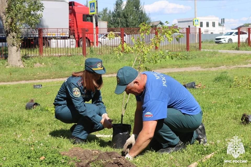 Фото: ГУ МЧС по Вологодской области.