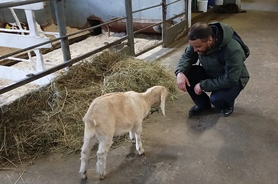 Ветеранам, которые занимаются агробизнесом, выделят средства. Фото: Департамент информационной политики