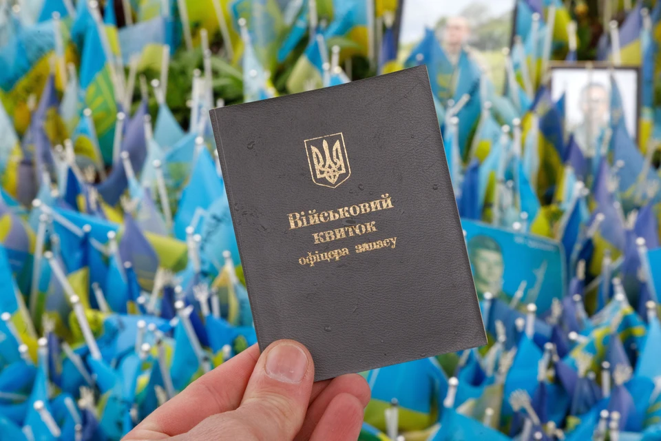 Bild: Украинцы с помощью поддельных прав водителя пытаются избежать мобилизации