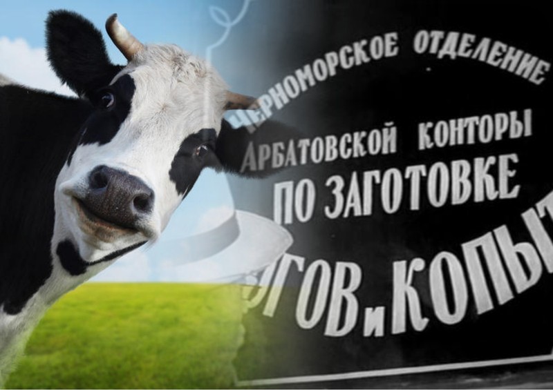 В Молдове будут перерабатывать рога и копыта. Фото: коллаж КП
