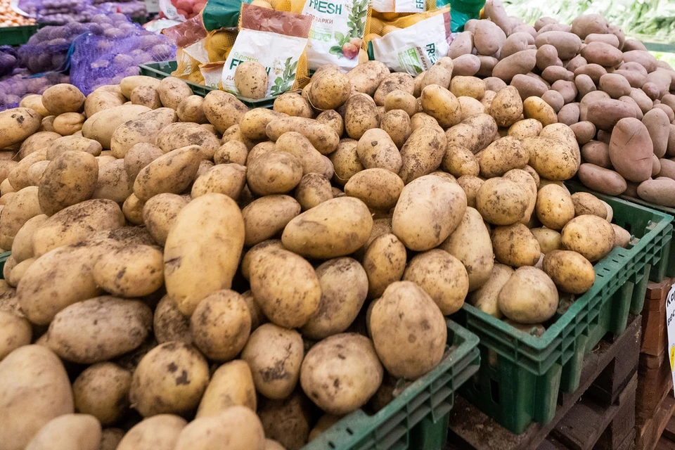 В Новосибирске начали продавать молодой картофель.