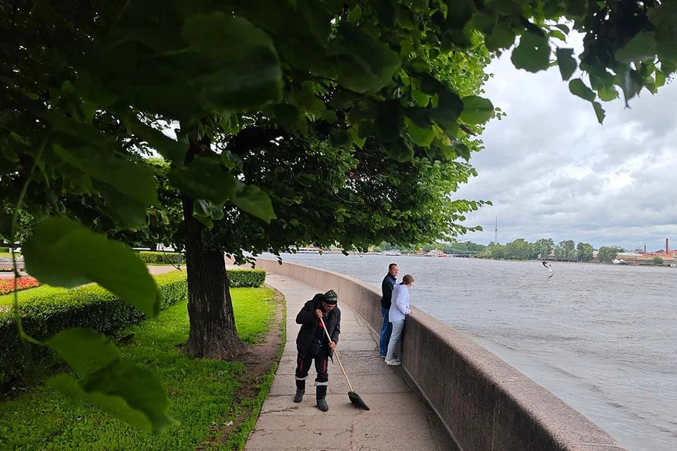 Первая тренировка прошла в Невском районе.