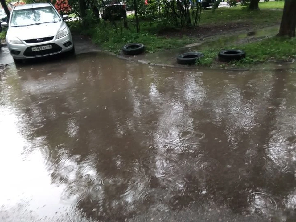 На этой неделе в области продолжат идти дожди