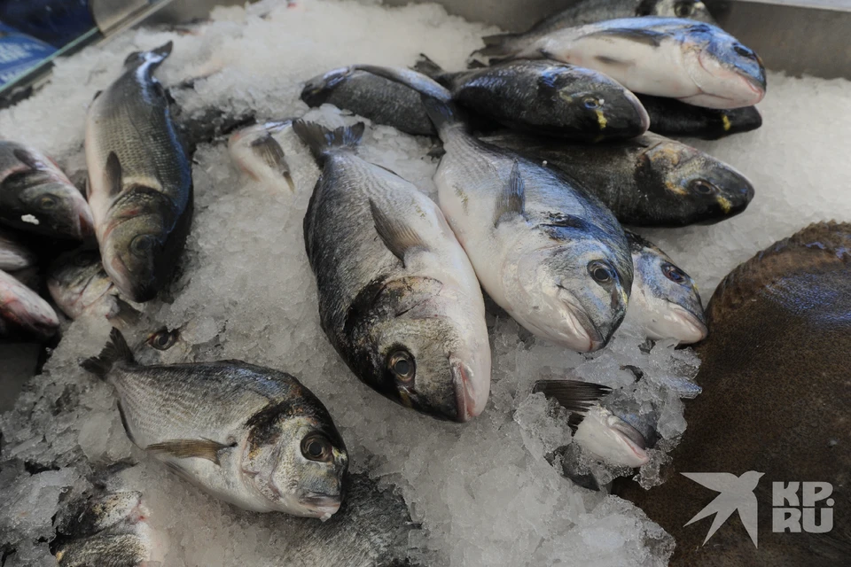 Производителей рыбной продукции в Рязанской области уличили в массовых нарушениях.