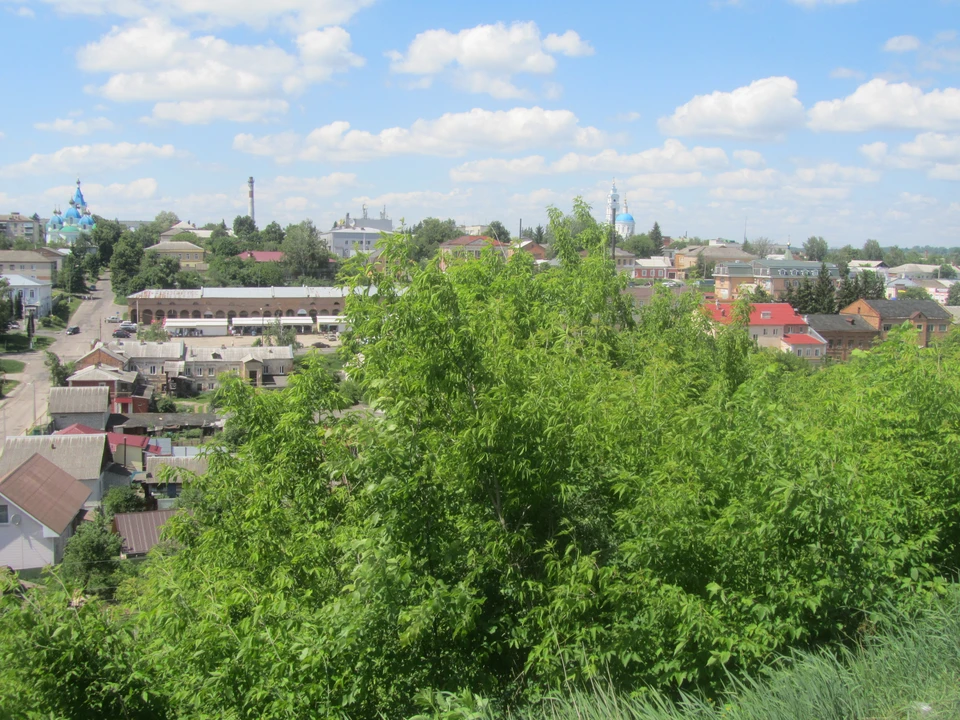 Только за прошедшую неделю обезврежено более трех тысяч гектаров