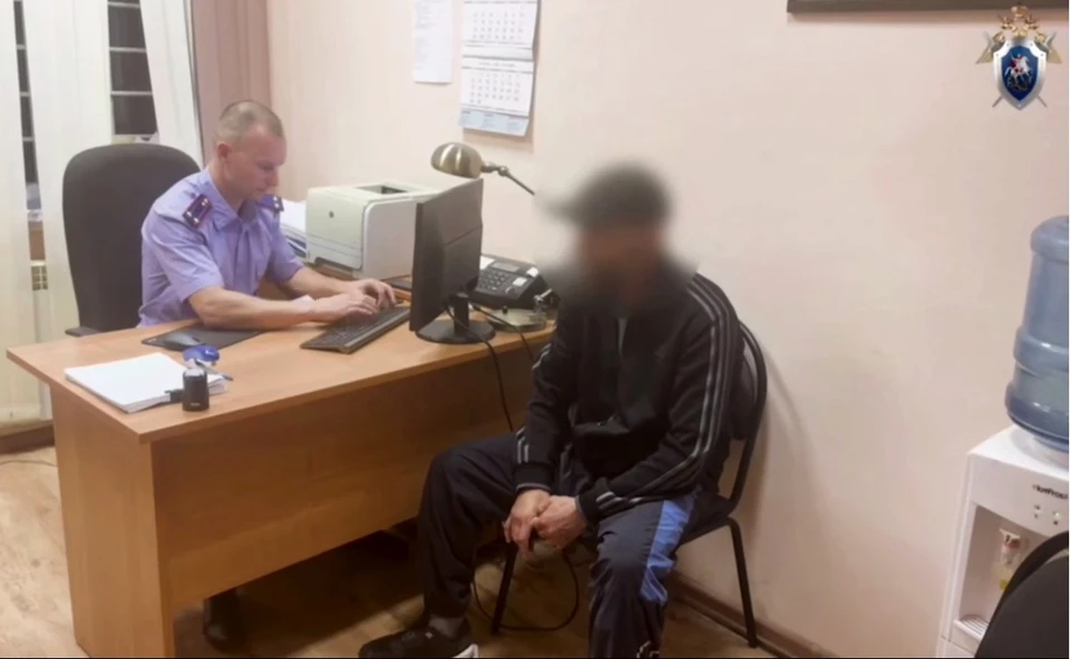 Родителей несовершеннолетних фигурантов дела о насилии готовятся депортировать.