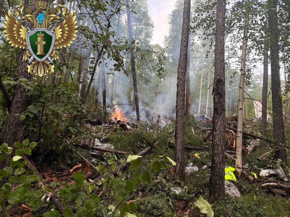 Видео места крушения Ан-24 в Амурской области с воздуха появилось в Сети Фото: Дальневосточная транспортная прокуратура
