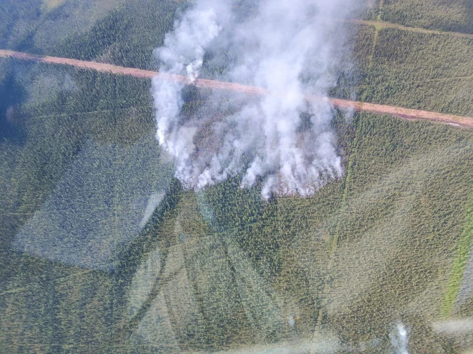 Фото: лесопожарный центр Красноярского края