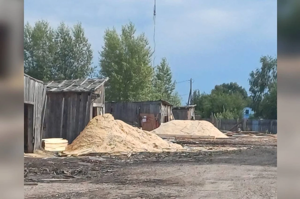 В Красноярском крае хозяин пилорамы заплатит за работника-нелегала. Фото: прокуратура