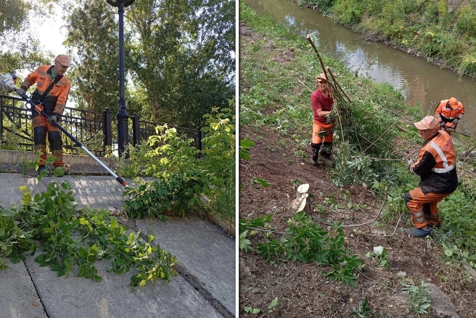 В Красноярске после рабочие вышли косить траву на Каче. Фото: администрация города