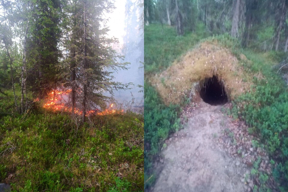 По предварительным данным, причиной пожара стала гроза. Фото: Минприроды Мурманской области