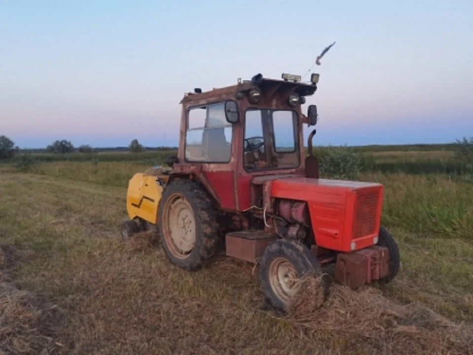 Фото: сайт Следственного комитета Российской Федерации по Омской области