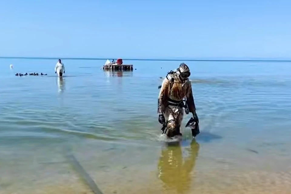 Мазут продолжают собирать на дне моря. Фото: оперштаб региона