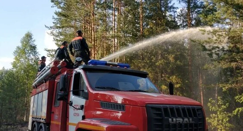 Фото: пресс-служба администрации Костромской области