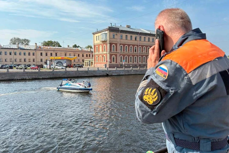 «Волны загоняют его вглубь»: Черно-белый кот, застрявший в гранитной набережной в Петербурге, стал прятаться от спасателей в узких тоннелях