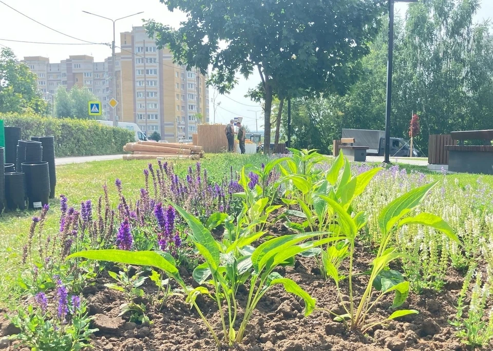 фото со страницы Николая Толбухина в ВК