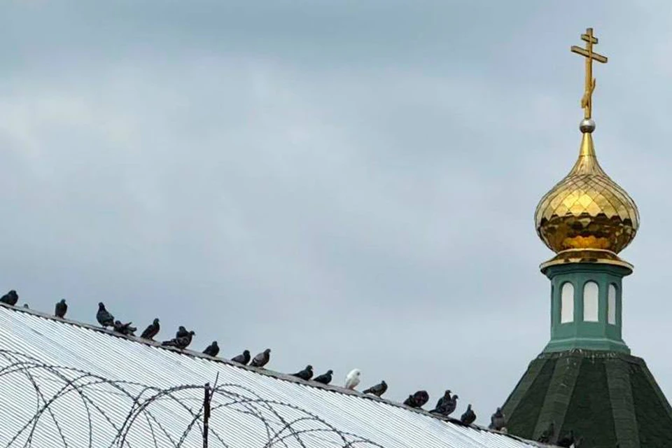 Господь дает силы, помогает тем, кто просит Его