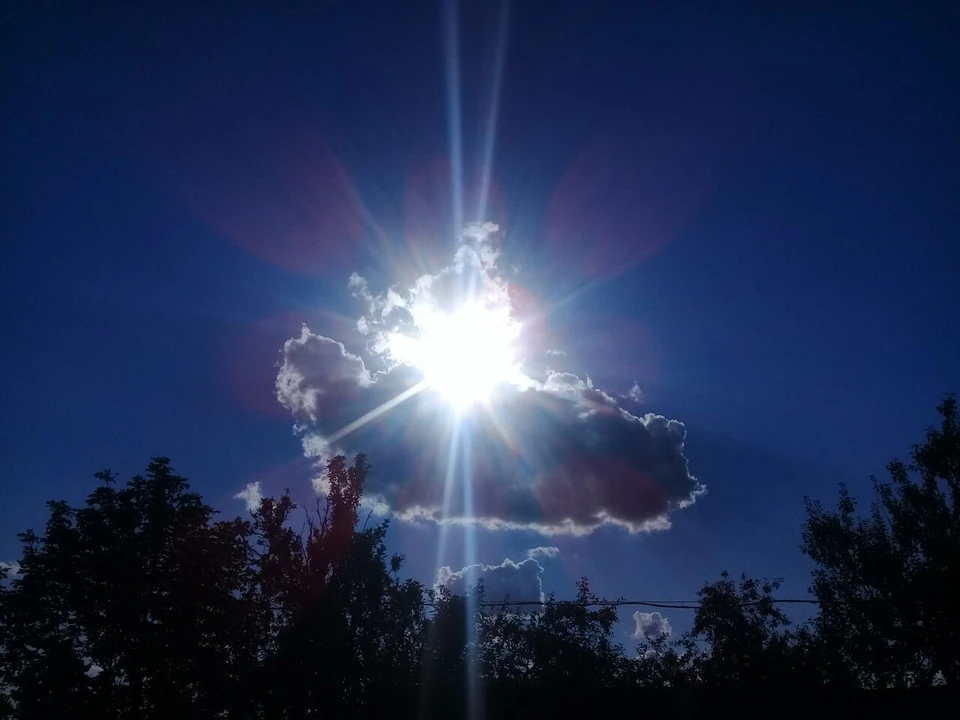 9 августа в отдельных районах пройдут дожди с грозами. Ветер западный, 2 метра в секунду. В Воронеже – от +17 ночью до +25 днем.