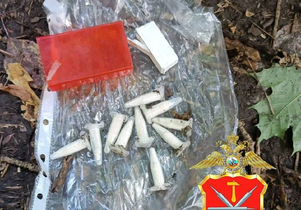 В Туле оперативники задержали наркодилера.