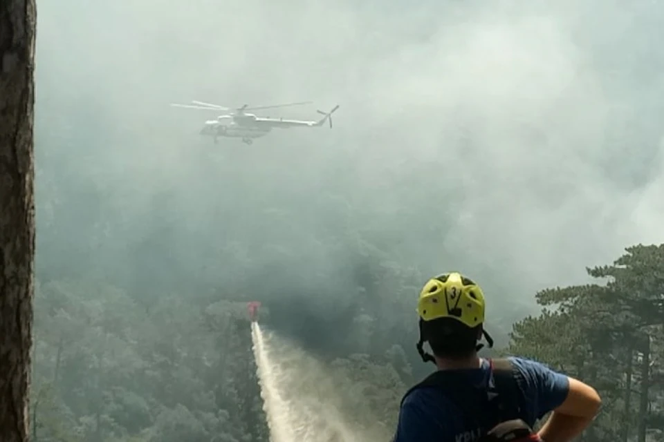В Крыму тушат пожар в Ялтинском заповеднике. Фото: кадр видео АГП Ялта | Крым/Tg