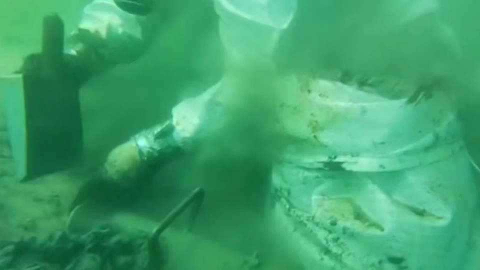 Фото: скриншот видео