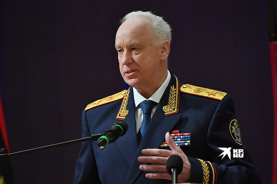 Александр Бастрыкин затребовал доклад по делу о нападении на ребенка
