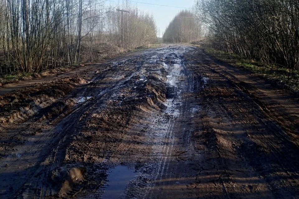 Дорога по весне раскисла. Фото: архив жителей д.Бортниково