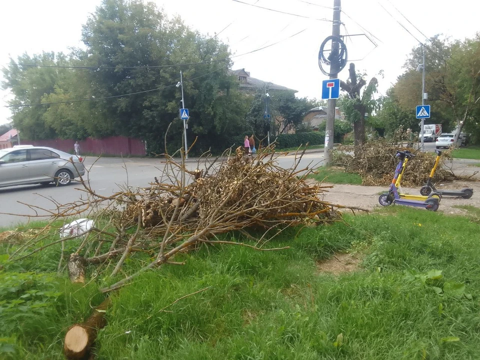 В Калуге срубленные ветки неделями валяются у пешеходных переходов.