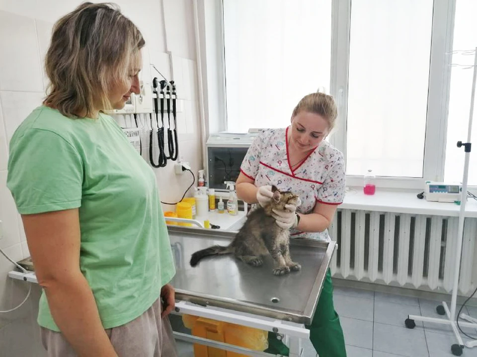 Фото: ФГБУ "ВНИИЗЖ".