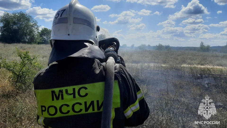 За сутки выгорело 15 га территорий. Фото: МЧС России