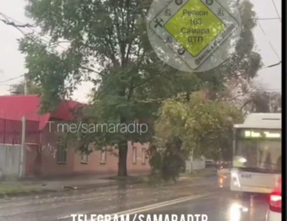 Дерево обрушилось на контактную сеть. Фото: https://t.me/samaradtp/53832