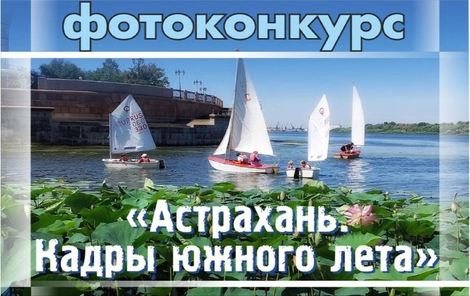 Лучшие работы включат в экспозицию у Братского сада