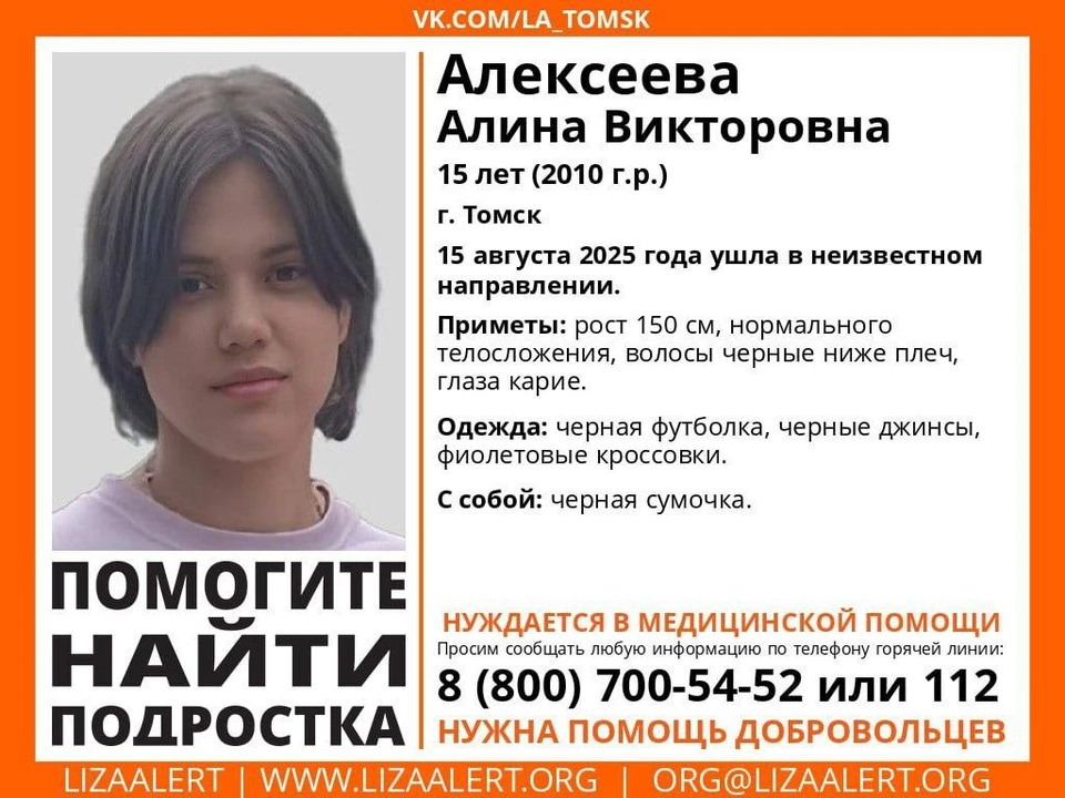 Фото: поисковый отряд «Лиза Алерт»