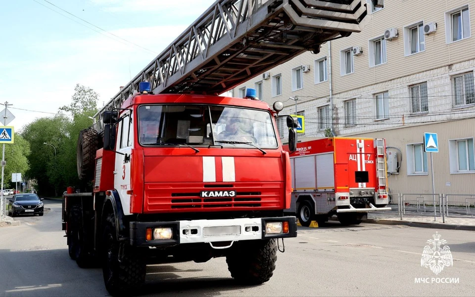 Фото: пресс-служба МЧС России по Томской области