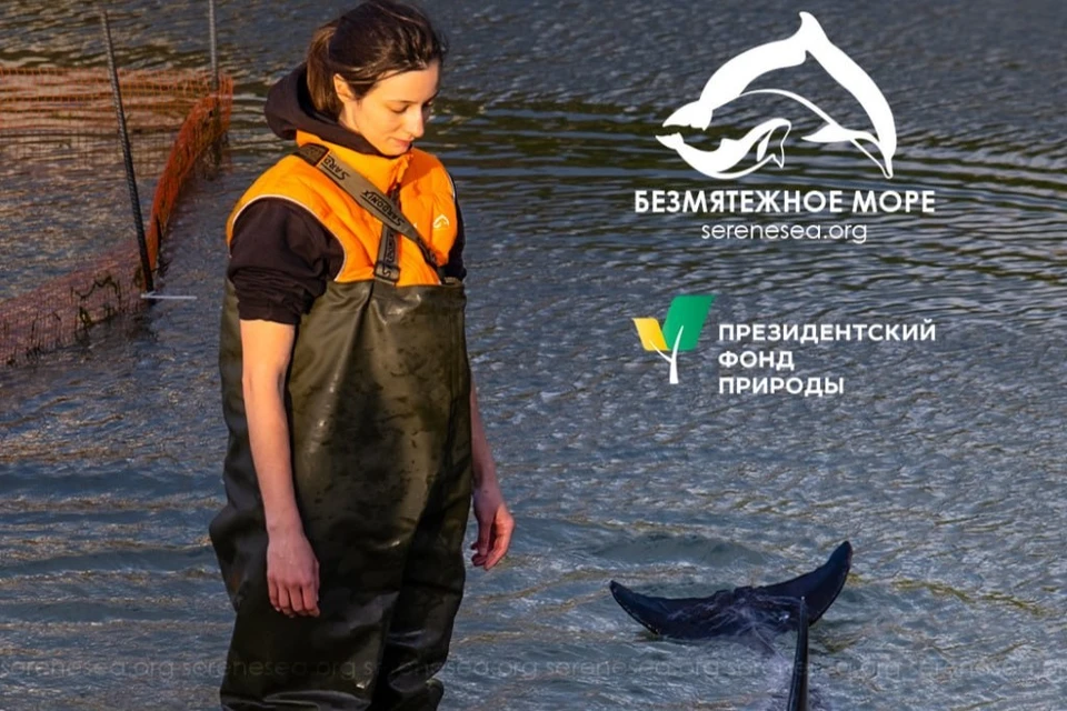 Фото: АНО "Безмятежное море"