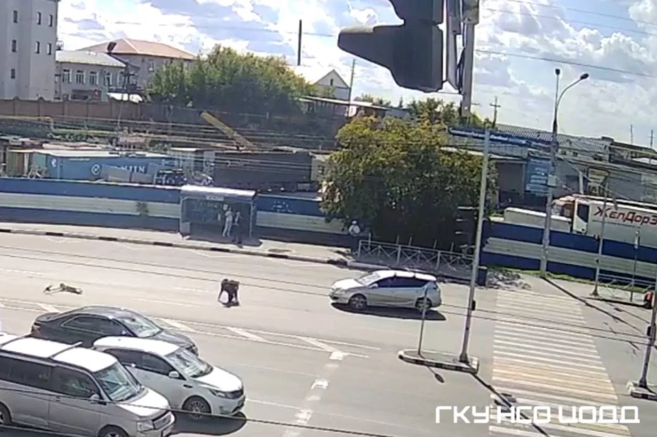 В Новосибирске водитель сбил электросамокатчика на улице Владимировской. Фото: скриншот из видео ГКУ НСО ЦОДД