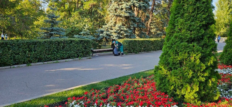 Сотрудники МБУ «Садово-парковое» поливают зеленые зоны, убирают мусор, устанавливают временные мусорные урны