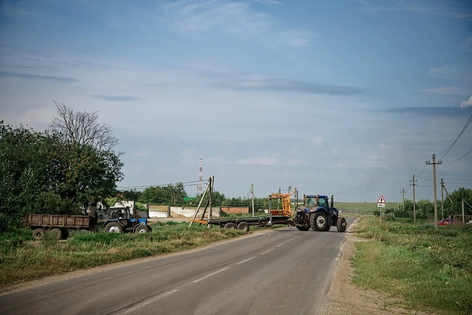 Волонтеры нагрянули на ферму после анонимного письма.