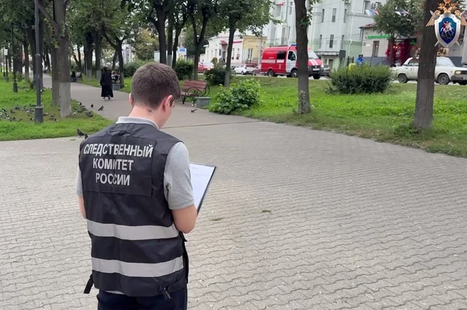 Ивановские следователи разбираются в деле о покушении на убийство ребенка. ФОТО: СКР по Ивановской области