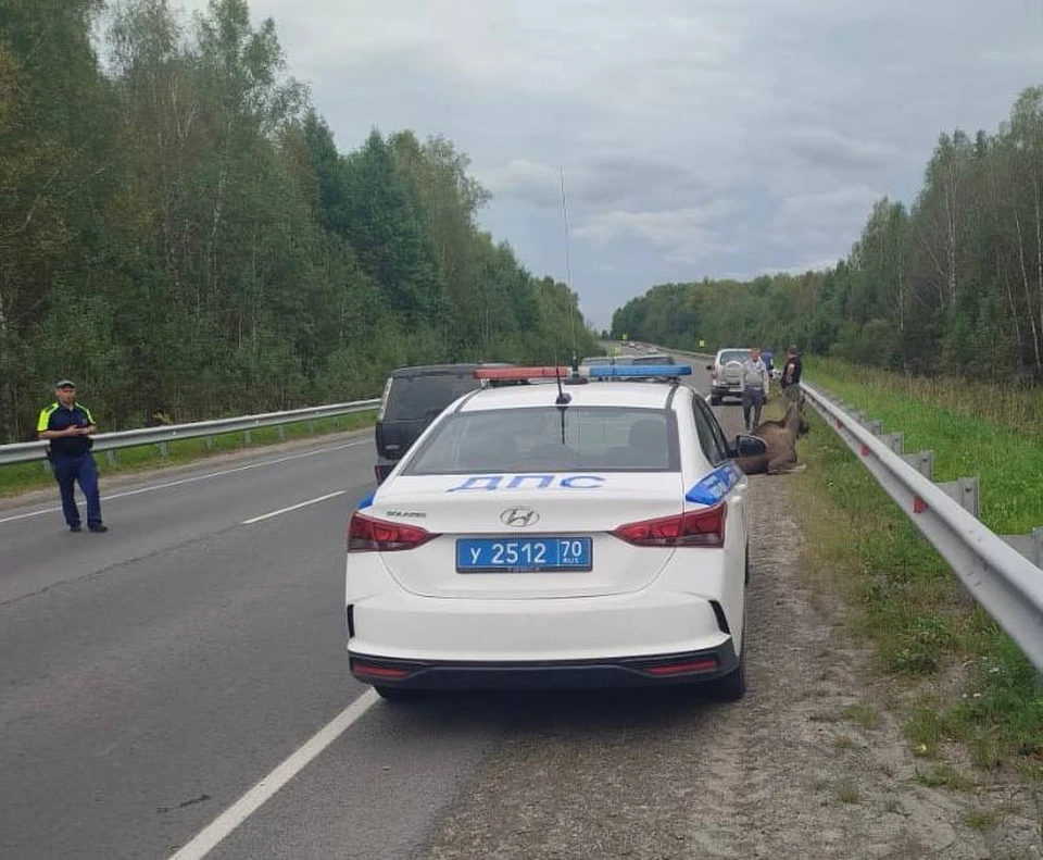 Фото: Госавтоинспекция Томской области