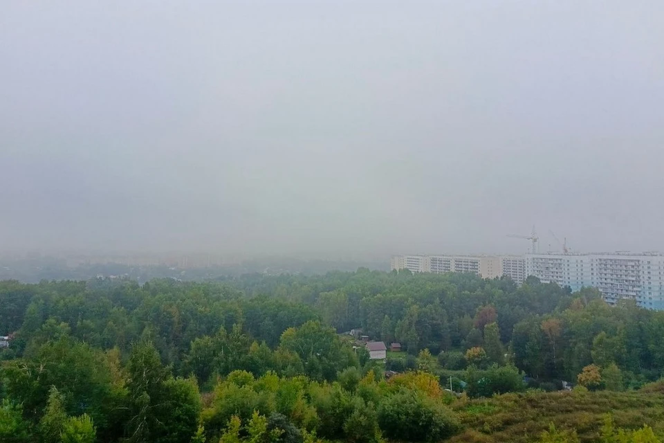 Туман накрыл Новосибирск.