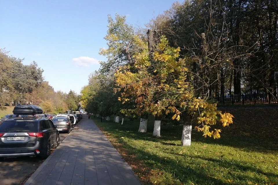 Последний день лета в Ярославле обещает быть теплым и осень примет эту эстафету.