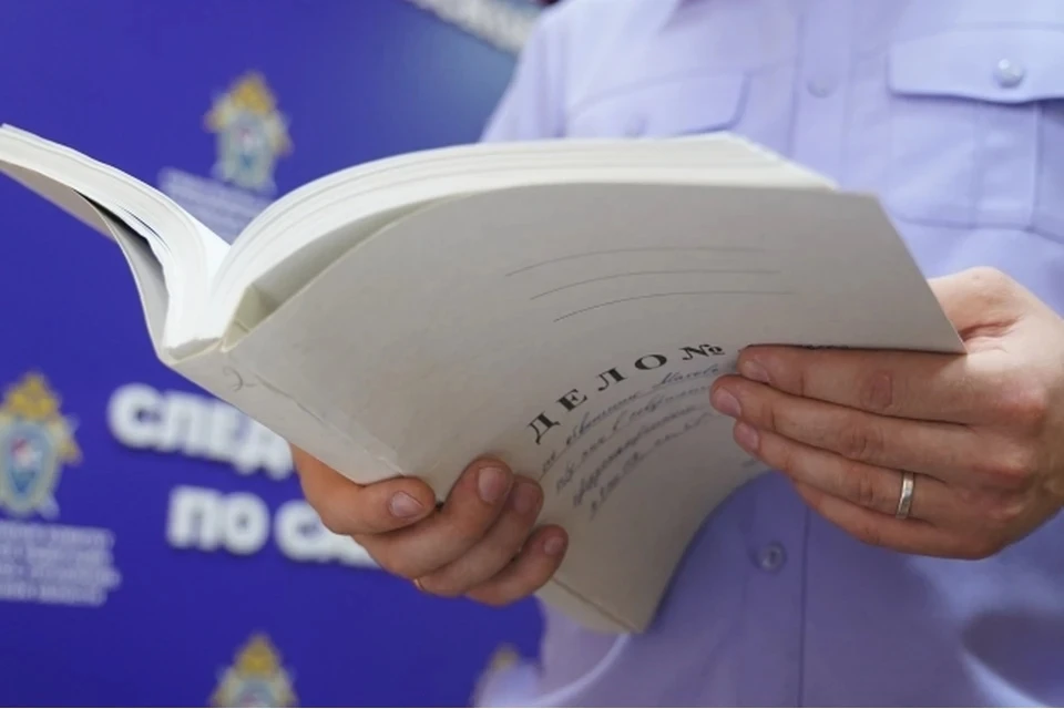 СКР по Москве попросит ареста педофила, растлившего девочку через интернет