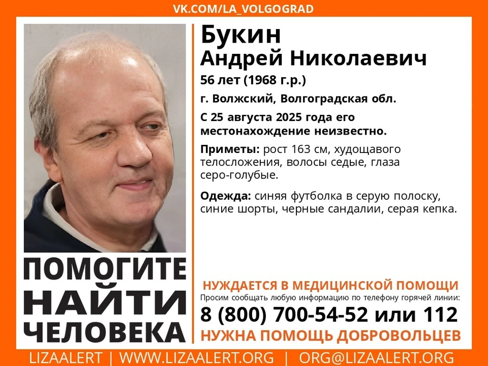 Фото: Лиза Алерт.